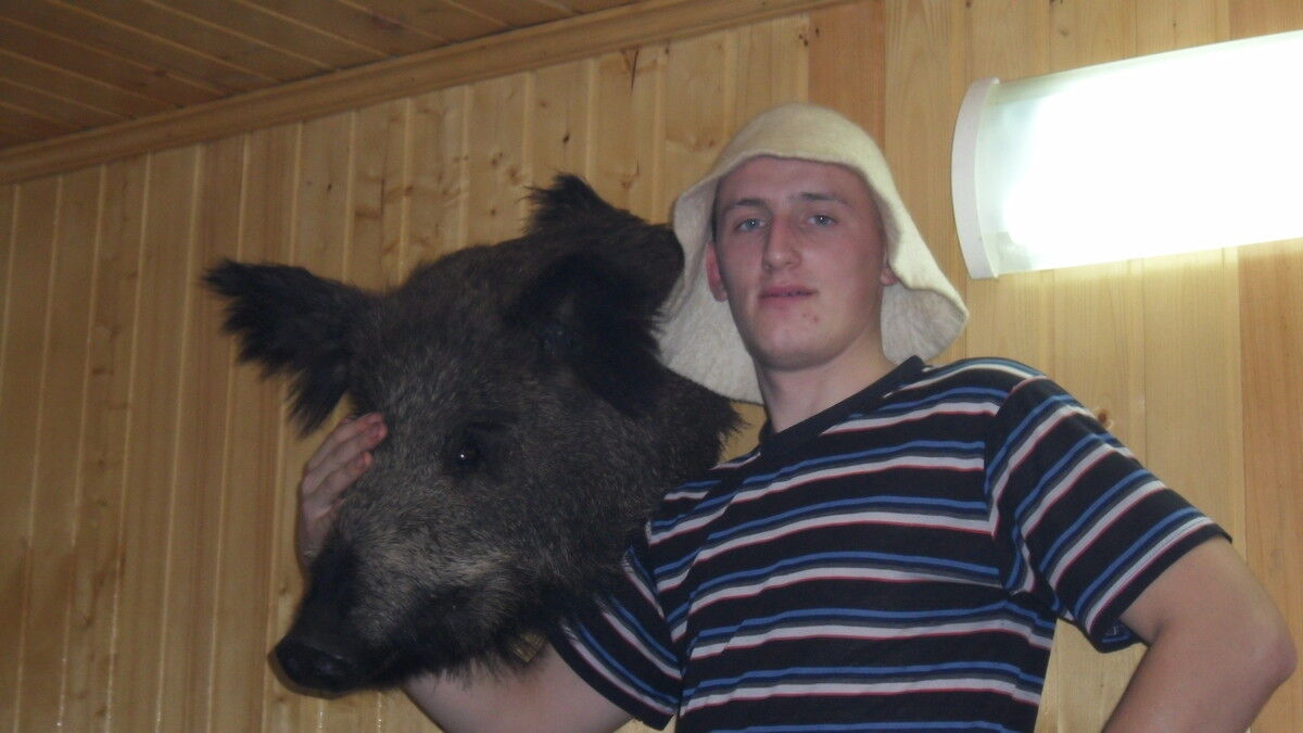 ���� 8195494 ������� ����, 38 ���, ���� ���������� � ������