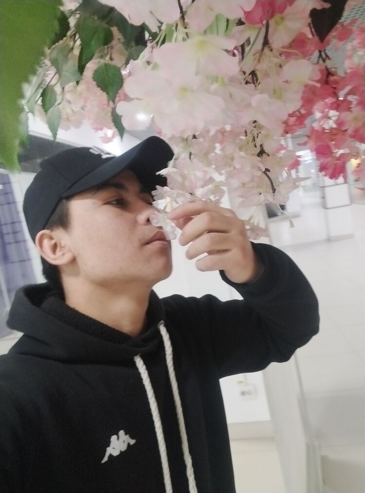 ���� 34220004 ����� Vaslidin, 24 ����, ���� ���������� � ��������