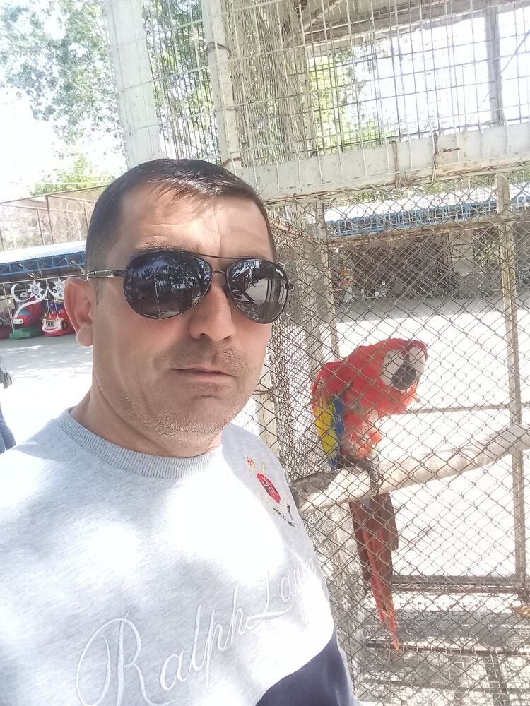 ���� 22986214 ������� ����, 45 ���, ���� ���������� � ����