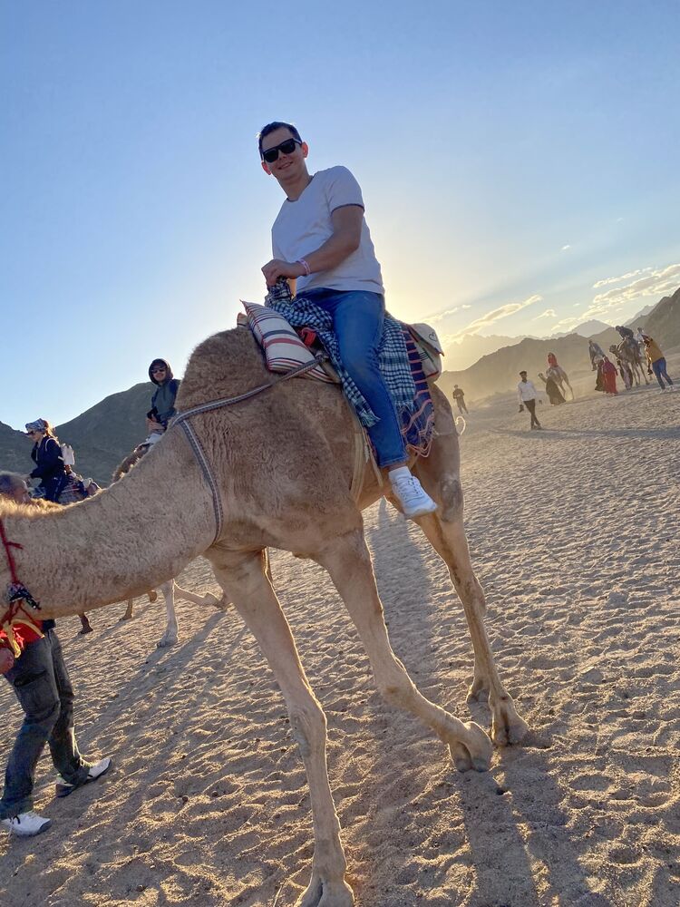 ���� 33242364 ������� ������, 31 ���, ���� ���������� � �����-����������