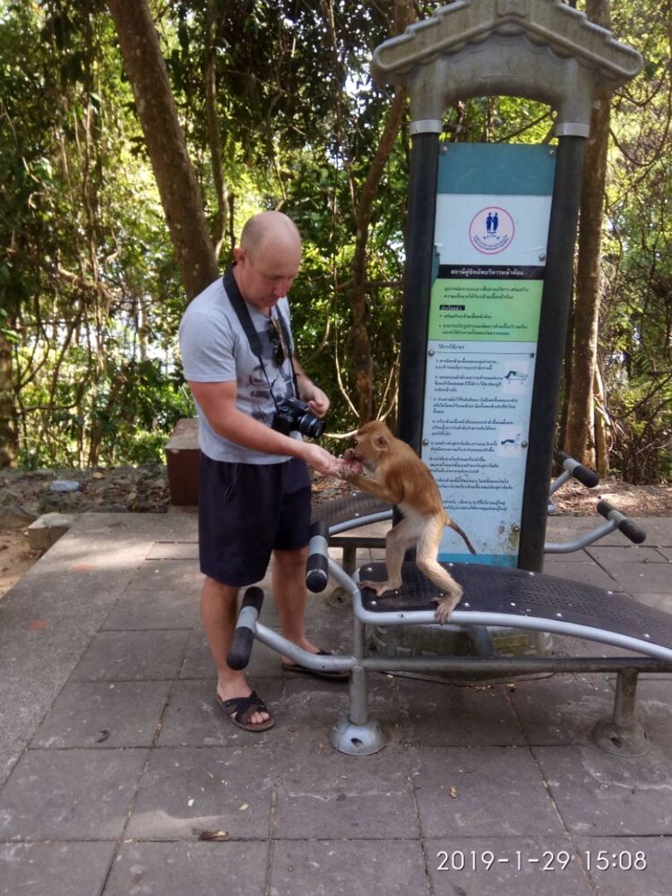 ���������� ������, ���� ������� ������, 48 ���, ������������ 