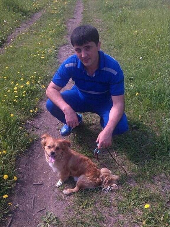 ���� 11170474 ������� �������, 33 ����, ���� ���������� � ������������