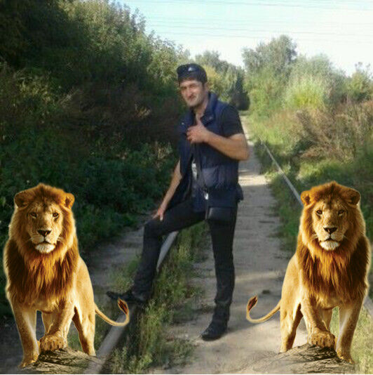 ���� 27704274 ������� ����, 36 ���, ���� ���������� � ������