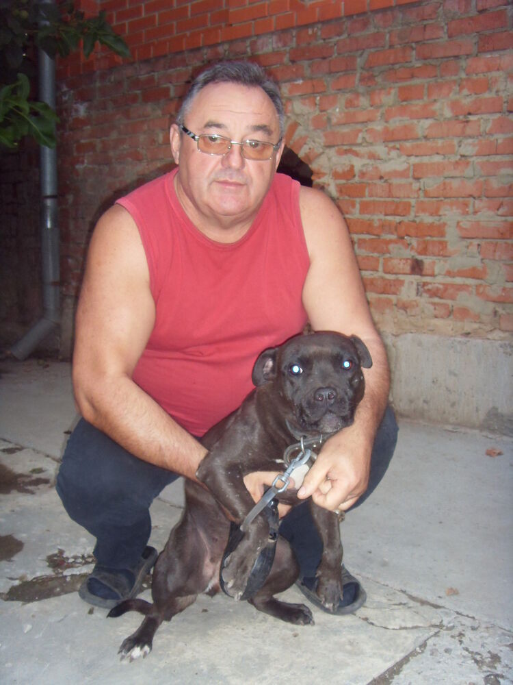  ,   , 68 ,   
