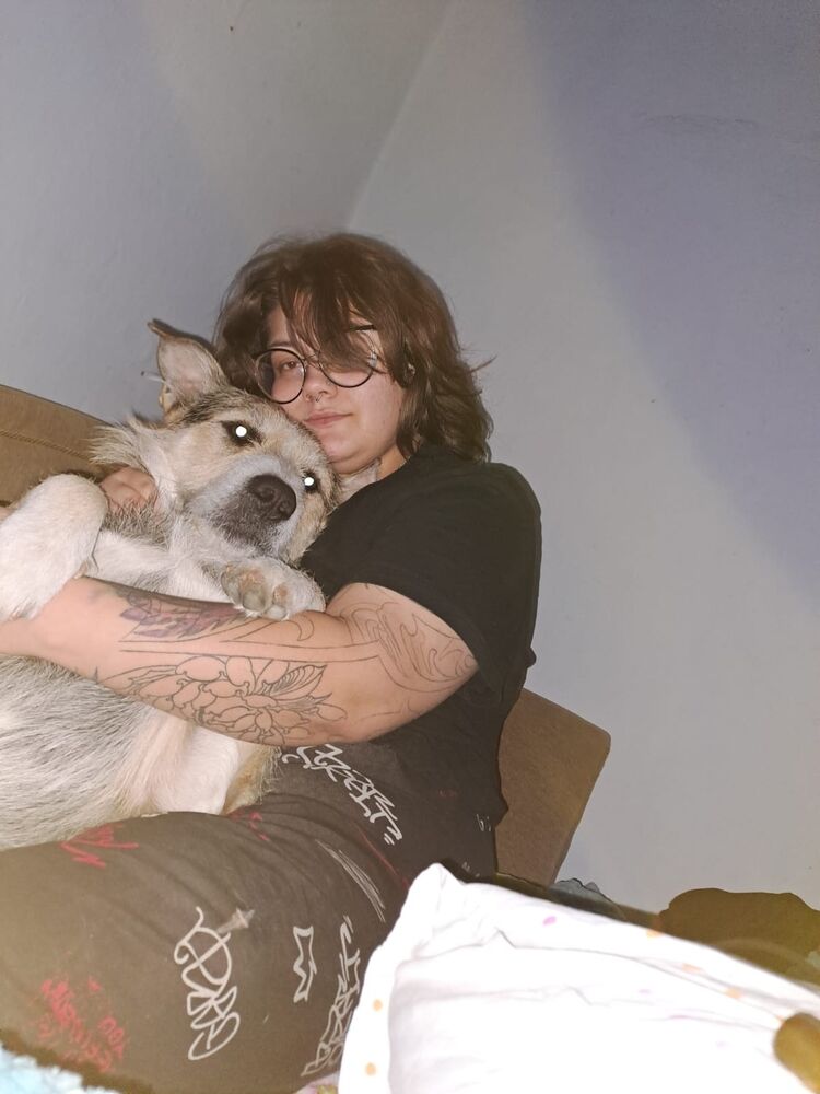 ���������� ����, ���� ������� Dana, 22 ����, ������������ ��� ������, ����� � ���������, c�������� ���������, ���������