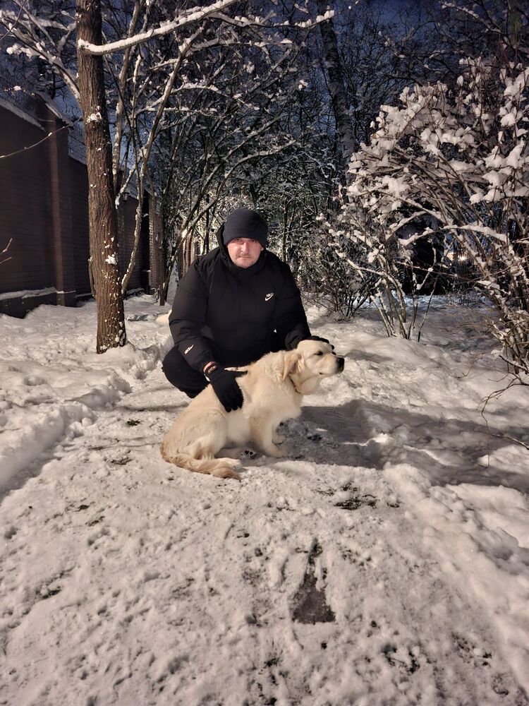 ���� 55376044 ������� ����, 29 ���, ���� ���������� � �����������