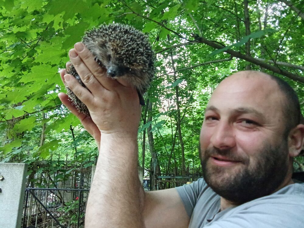 ���� 52569104 ������� ����, 38 ���, ���� ���������� � ������