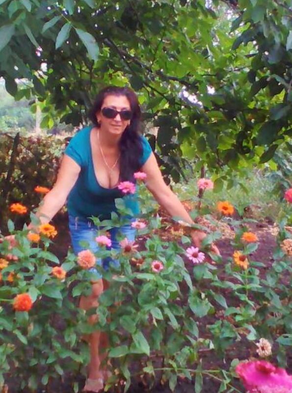  34964604  Nina, 58 ,    