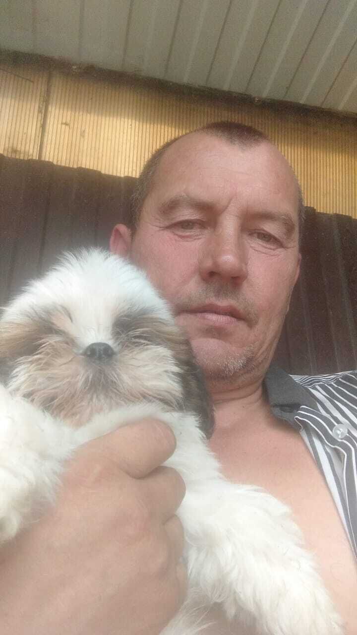 ���� 52052024 ������� ����, 42 ����, ���� ���������� � ��������