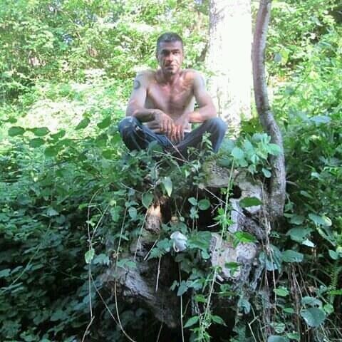 ���� 19952574 ������� Gocha, 40 ���, ���� ���������� � ������