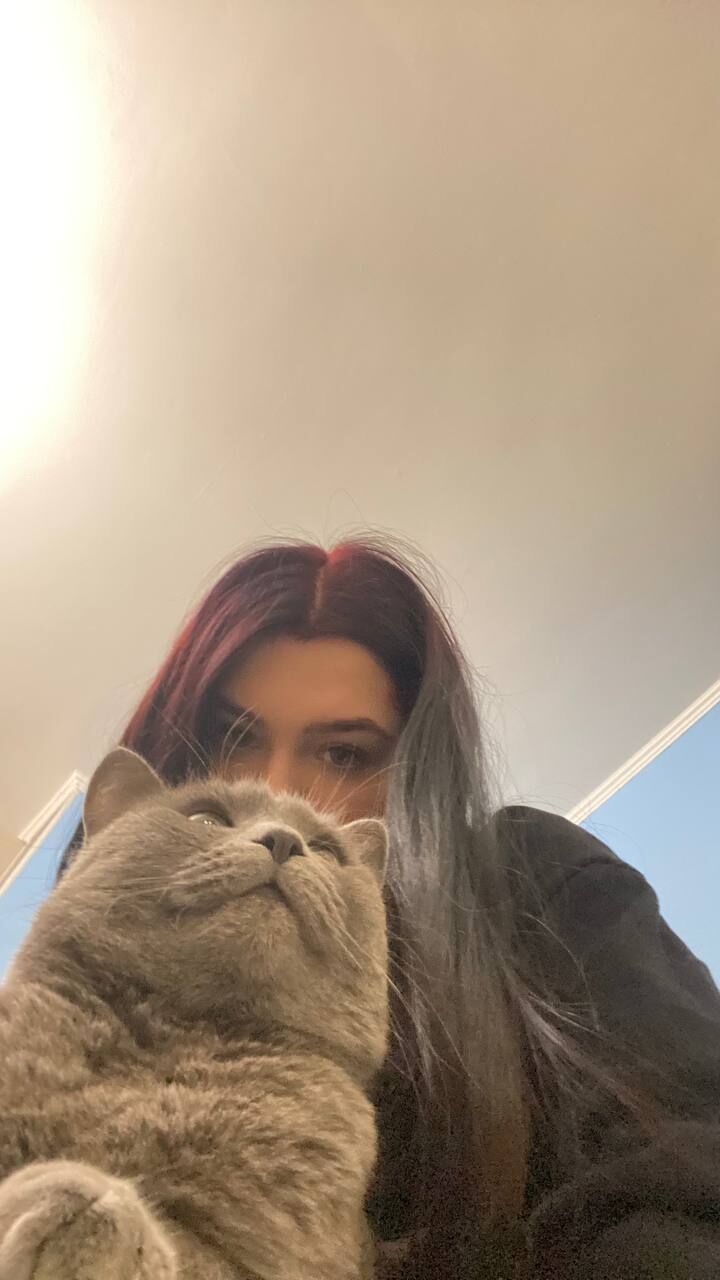 ���� 40105864 ������� ���, 26 ���, ���� ���������� � ������������