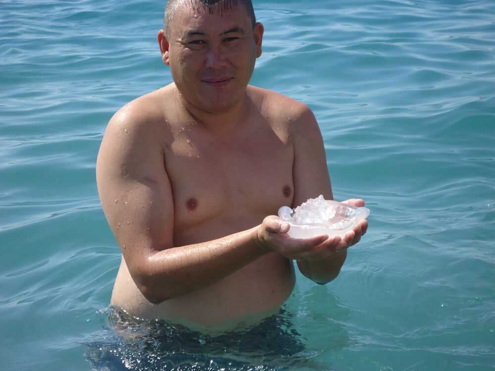  ,   , 48 ,   ,   