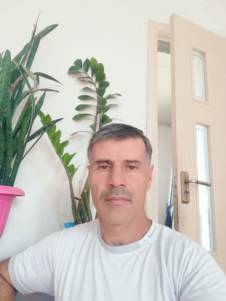  29996504  , 55 ,    