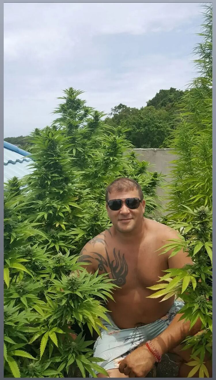 ���� 52849134 ������� ������, 48 ���, ���� ���������� � ��������