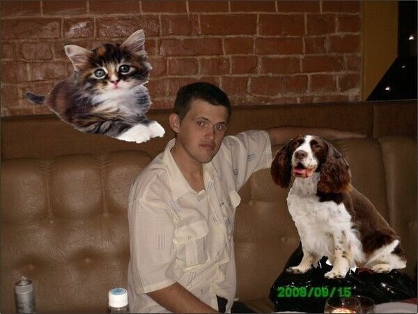 ���� 23229444 ������� ������, 41 ���, ���� ���������� � �����