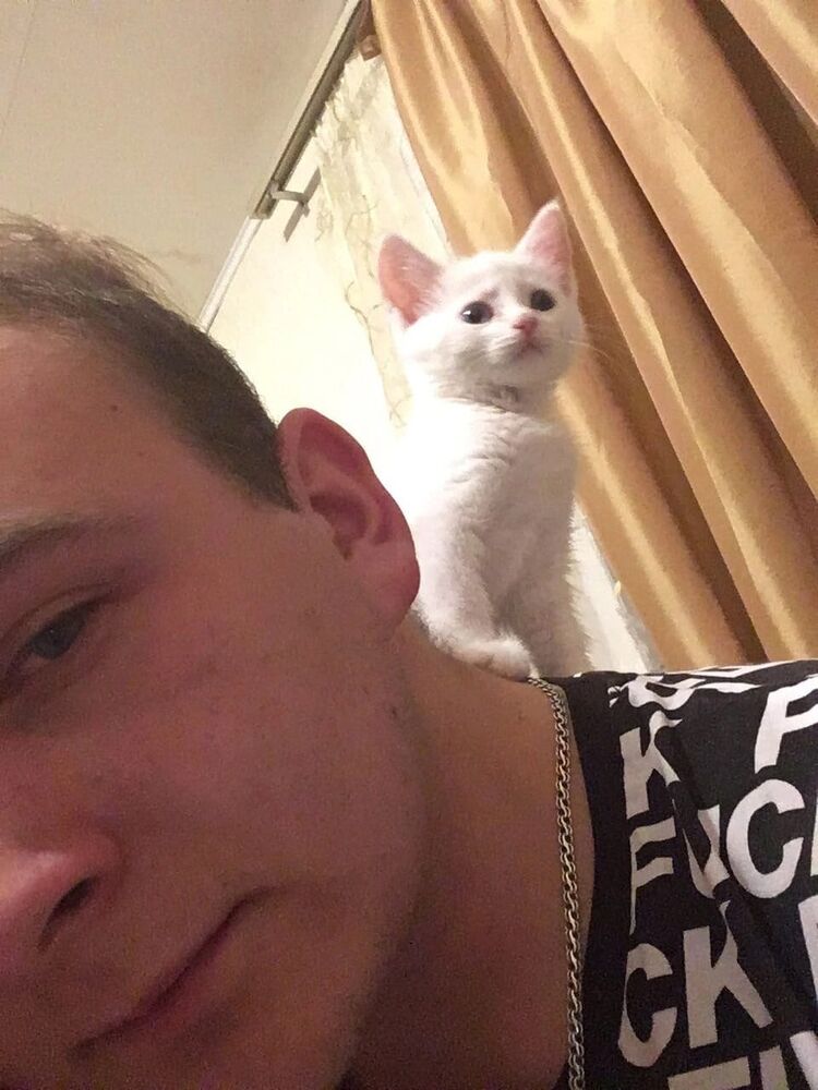 ���� 41690054 ����� �������, 24 ����, ���� ���������� � ���������