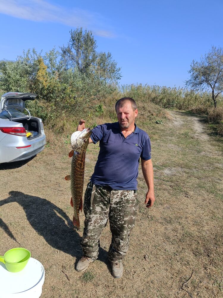  ,   , 48 ,   c 