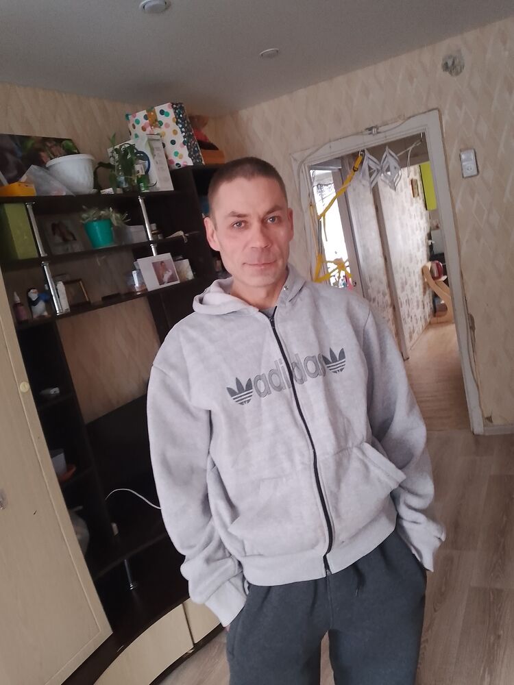  49638174  , 46 ,    