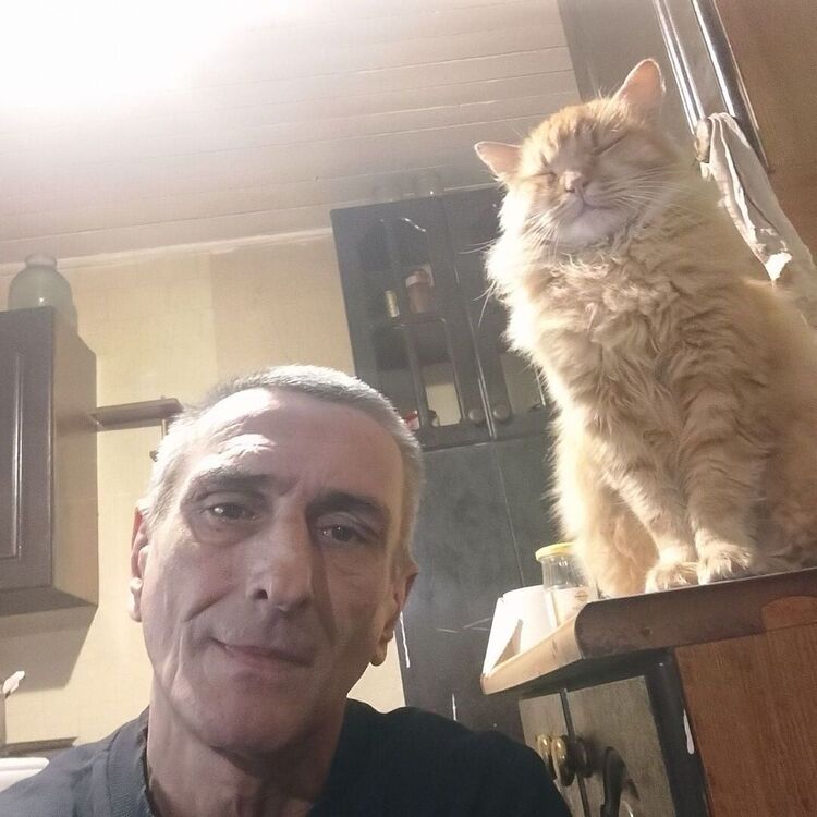 ���������� ����, ���� ������� �����, 52 ����, ������������ ��� ������, ����� � ���������