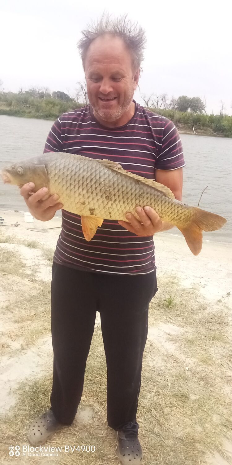 ���� 56050464 ������� ����, 59 ���, ���� ���������� � �������