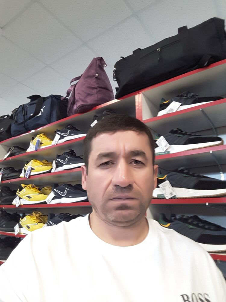  48158594  , 43 ,    