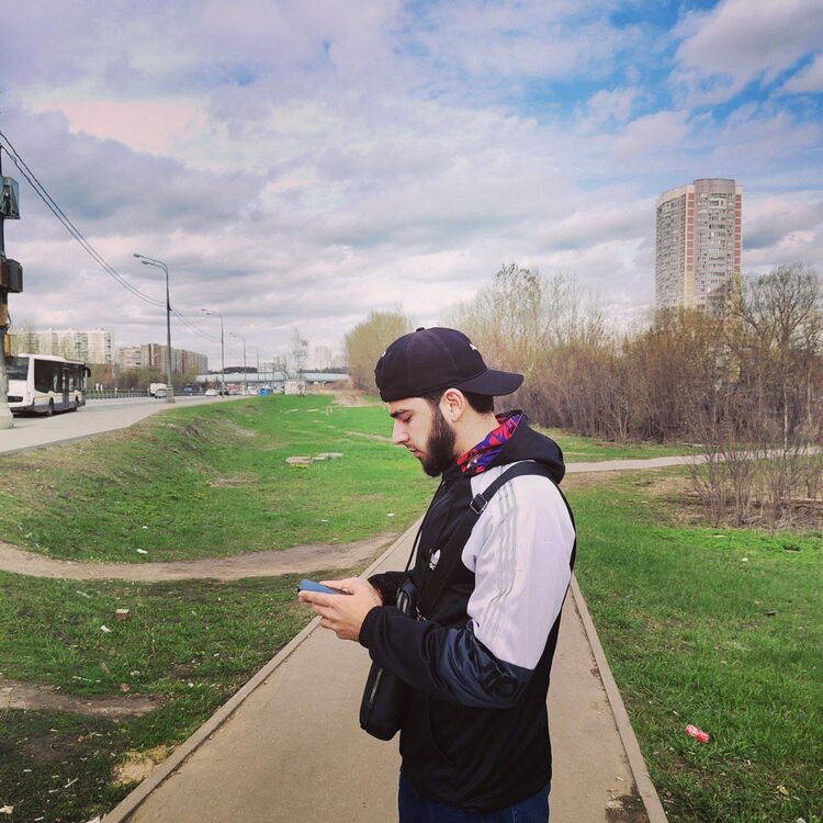  43246054  , 24 ,    -