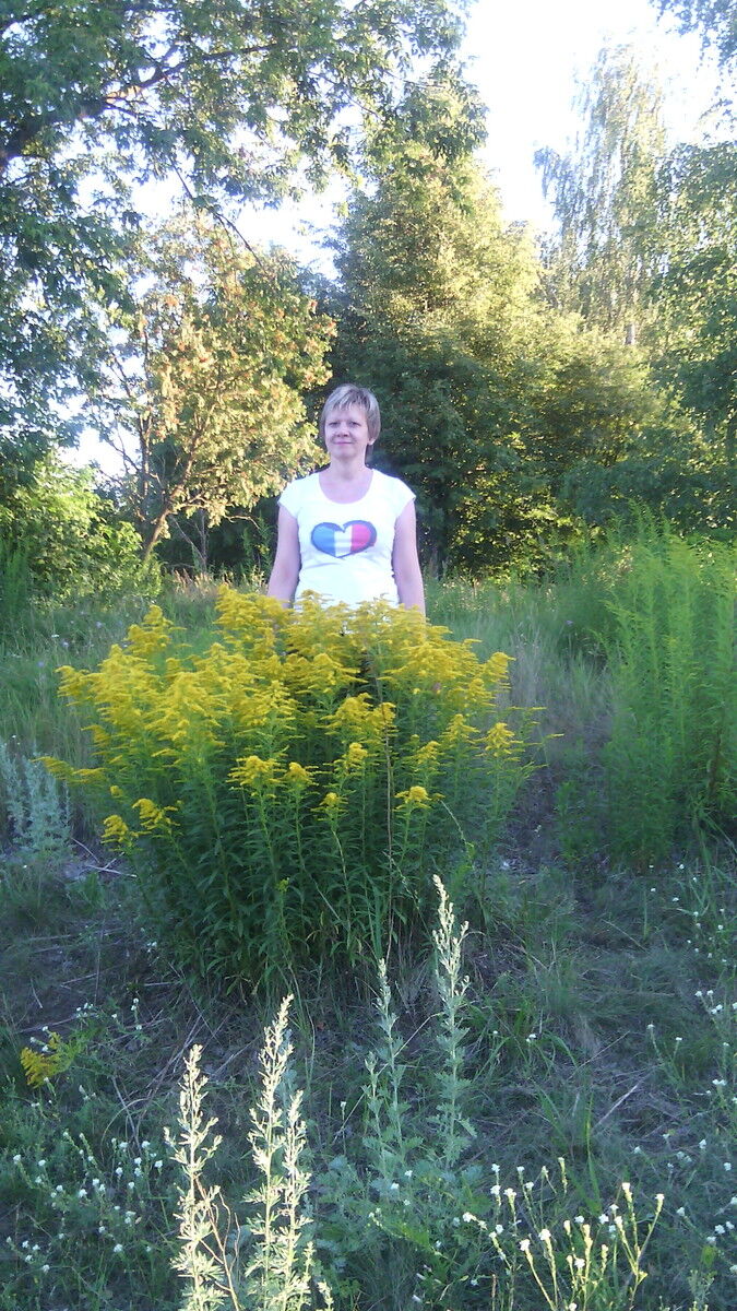 ���� 5031334 ������� �����, 59 ���, ���� ���������� � ������ ���������