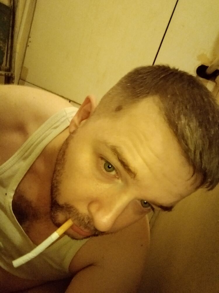 38413544  , 36 ,    