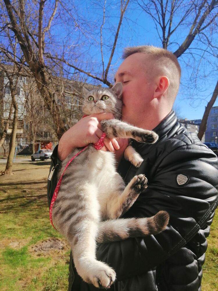 ���������� ������, ���� ������� ����, 30 ���, ������������ ��� ������, ����� � ���������