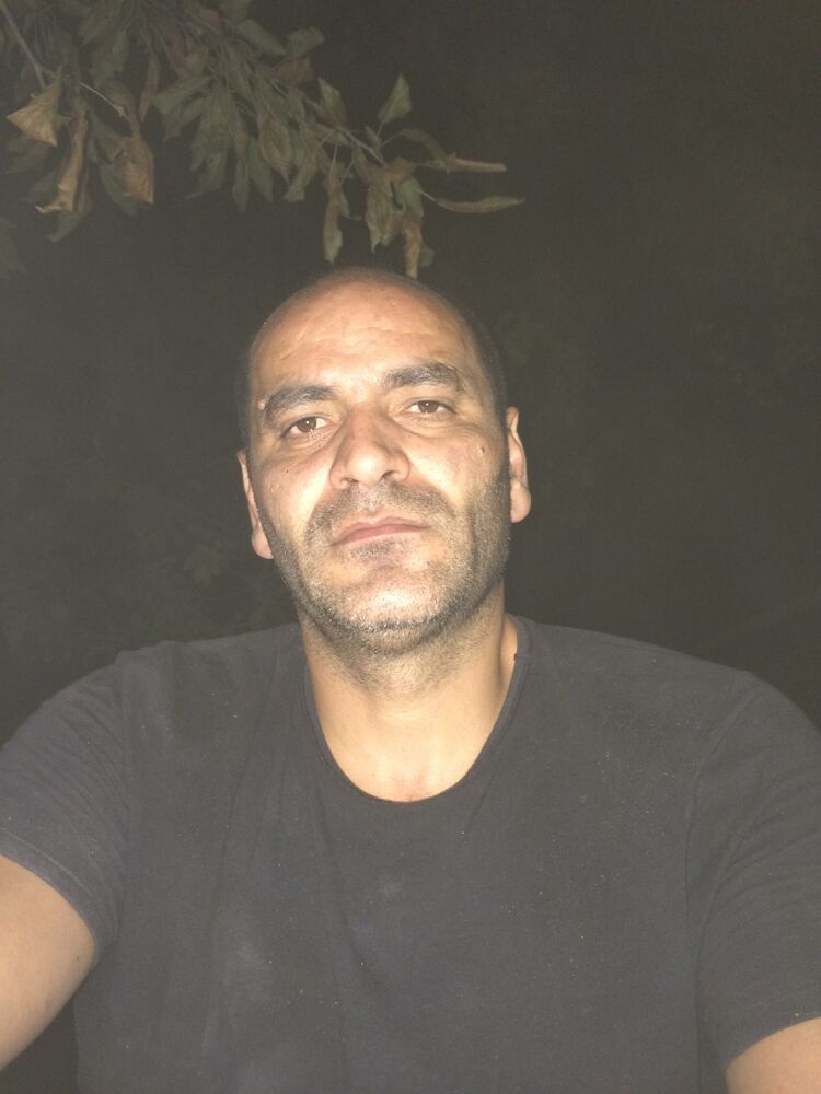  25310034  , 46 ,    