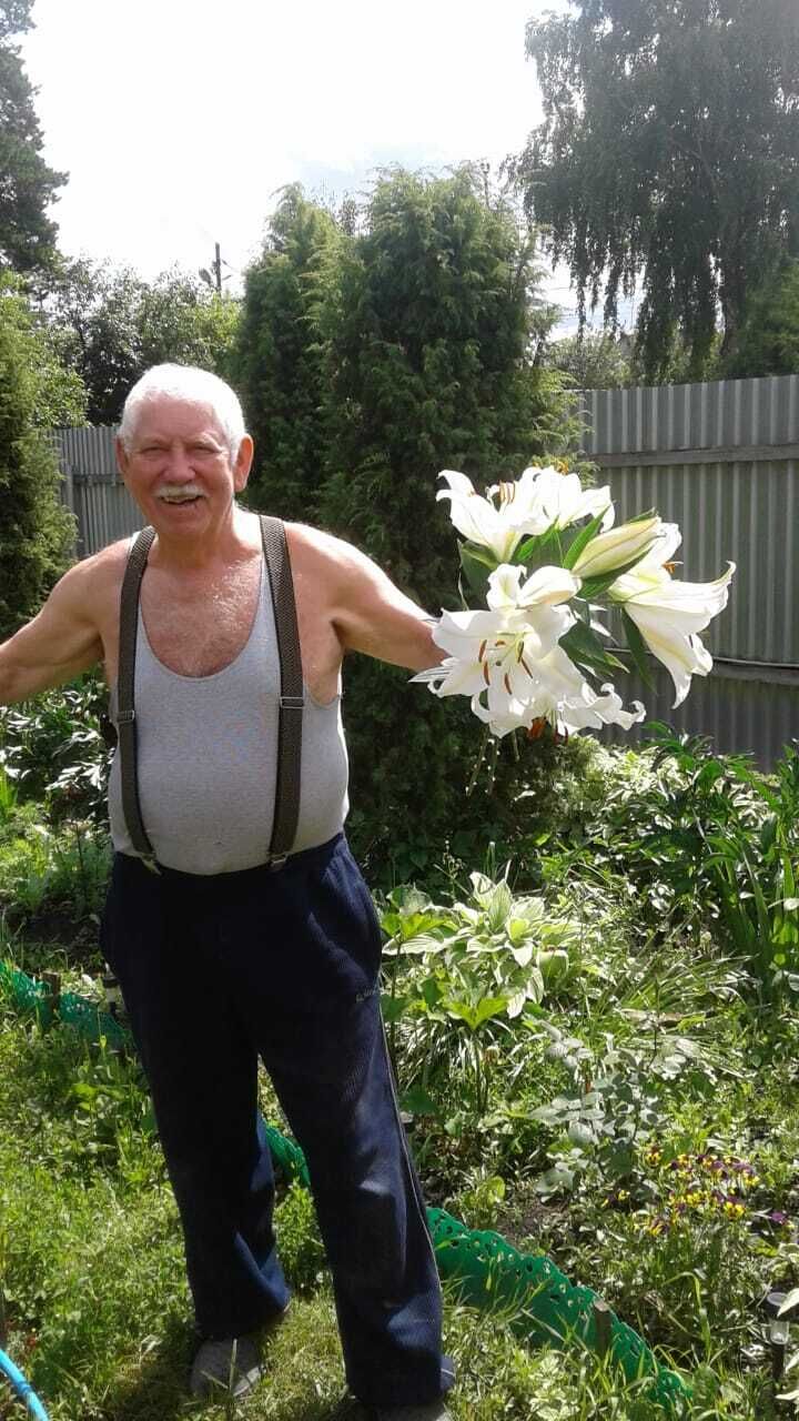 ���� 54953954 ������� ��������, 76 ���, ���� ���������� � ������