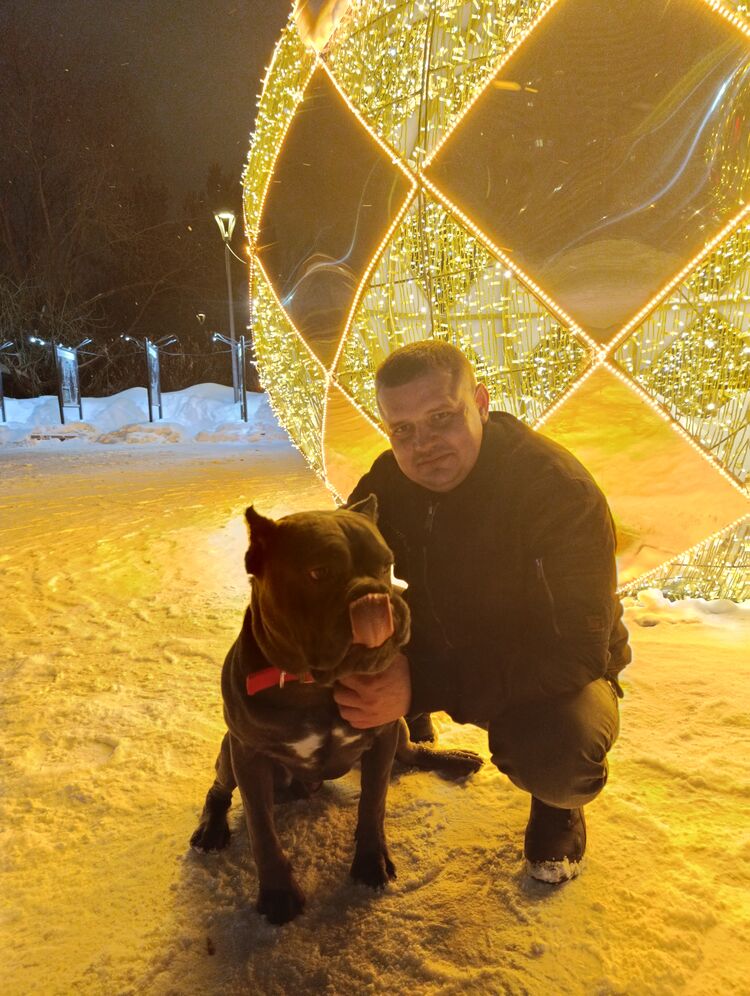 ���� 55808664 ������� ����������, 38 ���, ���� ���������� � ������