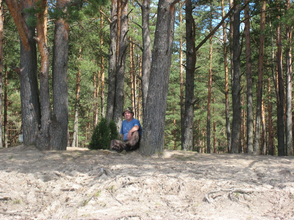 ���� 5941574 ������� ������, 60 ���, ���� ���������� � ������