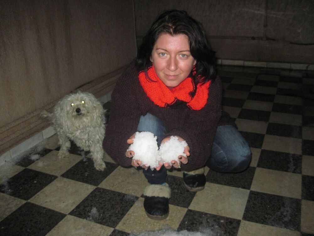  10504364  , 49 ,    Tunis