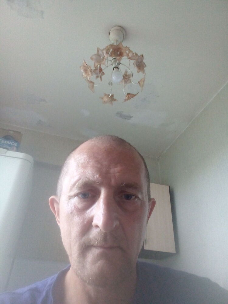  44627774  , 53 ,    