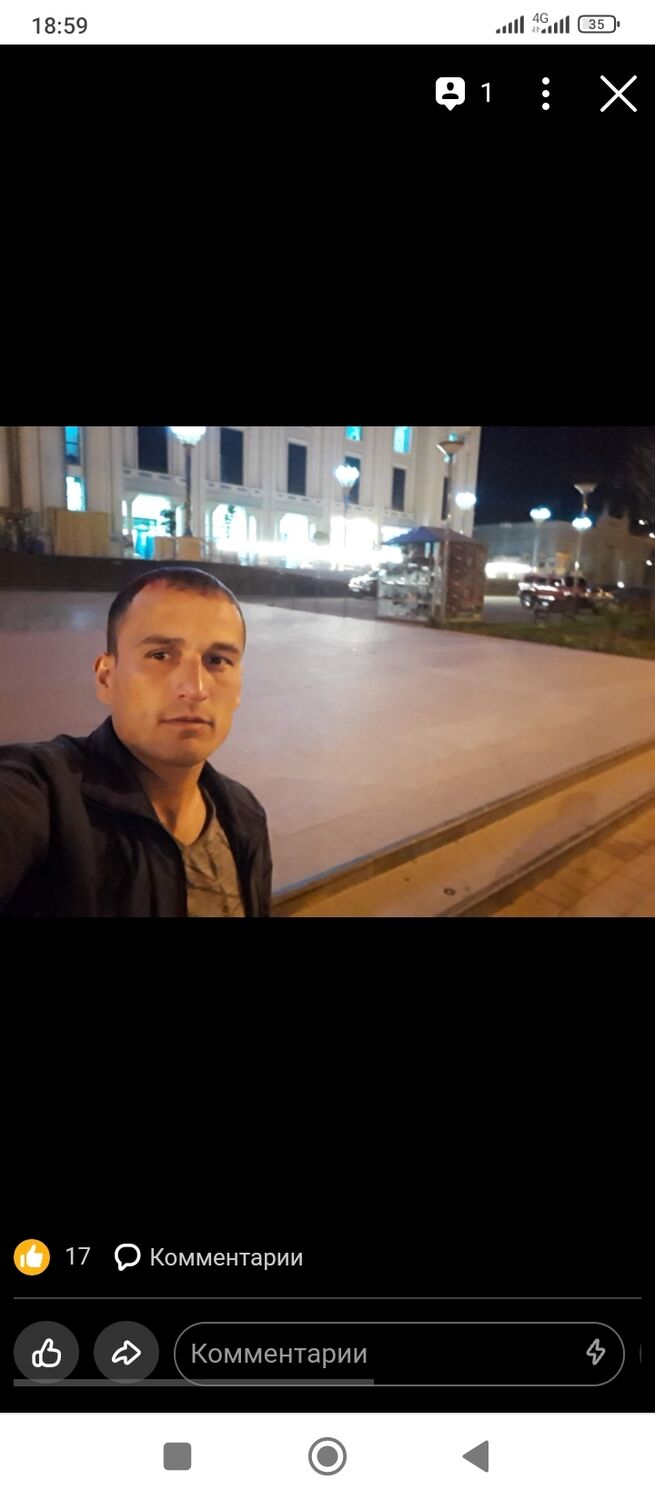  31320584  , 38 ,    