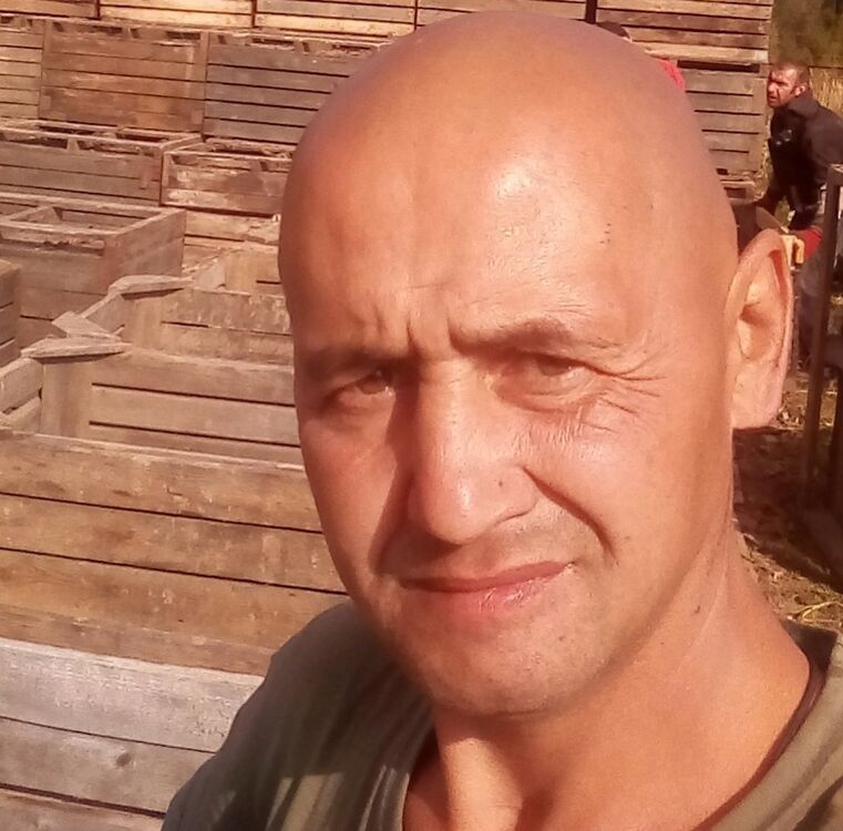 ���� 38536304 ������� �����, 48 ���, ���� ���������� � ������