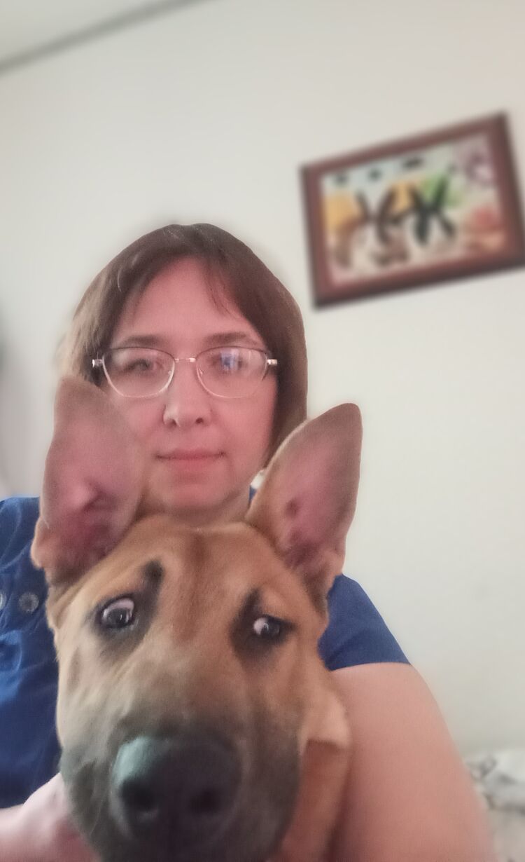  -,   , 52 ,   ,   