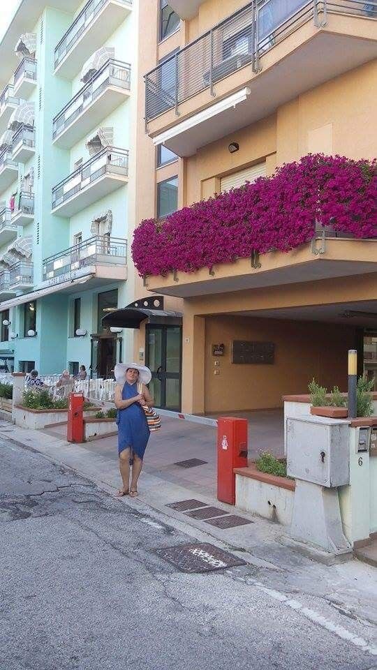 ���������� �������, ���� ������� Elena, 65 ���, ������������ ��� ������, ����� � ���������, c�������� ���������