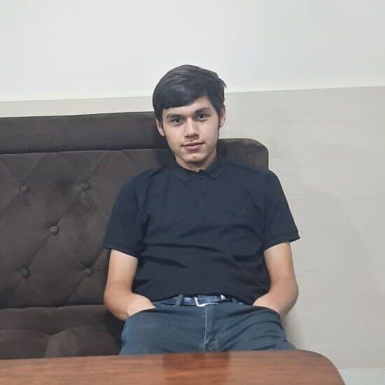 ���� 38336944 ����� �����, 24 ����, ���� ���������� � �����������