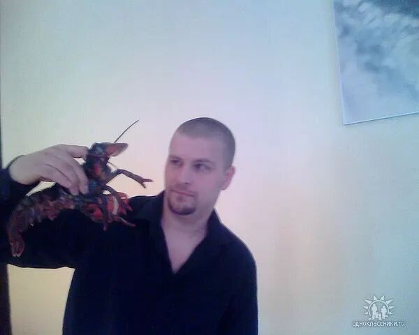 ���������� ������-��-����, ���� ������� ����������, 41 ���, ������������ ��� ������, ����� � ���������, c�������� ���������, ���������