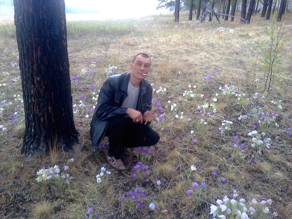 ���� 4526264 ������� �������, 46 ���, ���� ���������� � ��������