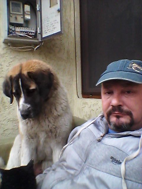  ,   , 56 ,   