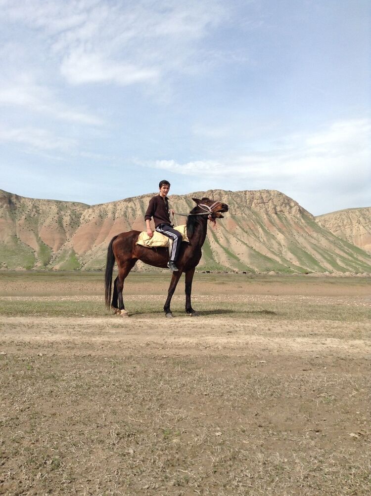 ���������� �������, ���� ������� �����, 33 ����, ������������ ��� ������, ����� � ���������, c�������� ���������