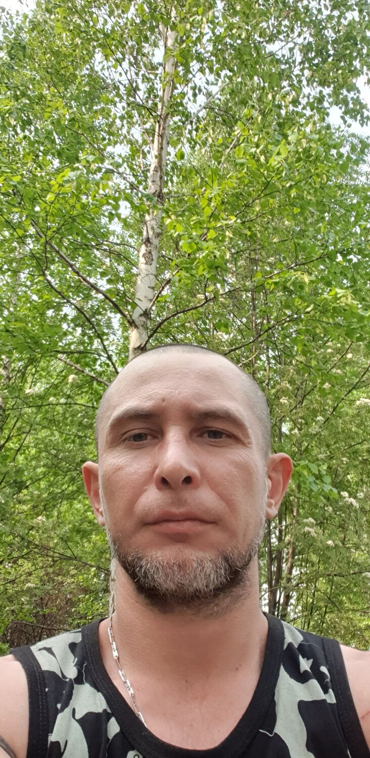 ���� 26660314 ������� ��������, 40 ���, ���� ���������� � �����������