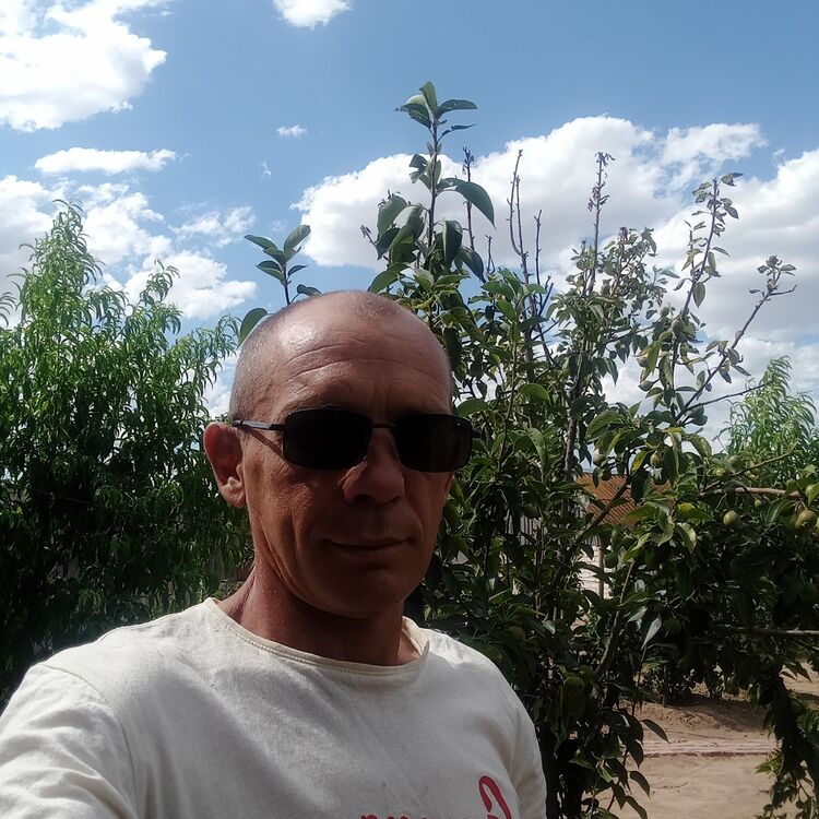  33267414  , 49 ,    