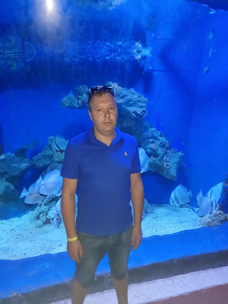 ���� 56073194 ������� ���������, 43 ����, ���� ���������� � �������������