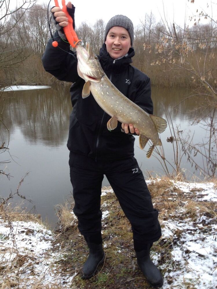 ���� 16154454 ������� �����, 38 ���, ���� ���������� � �������