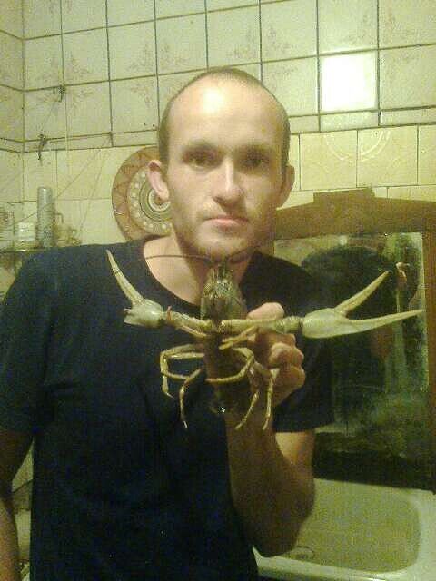 ���� 42946284 ������� �������, 36 ���, ���� ���������� � ����