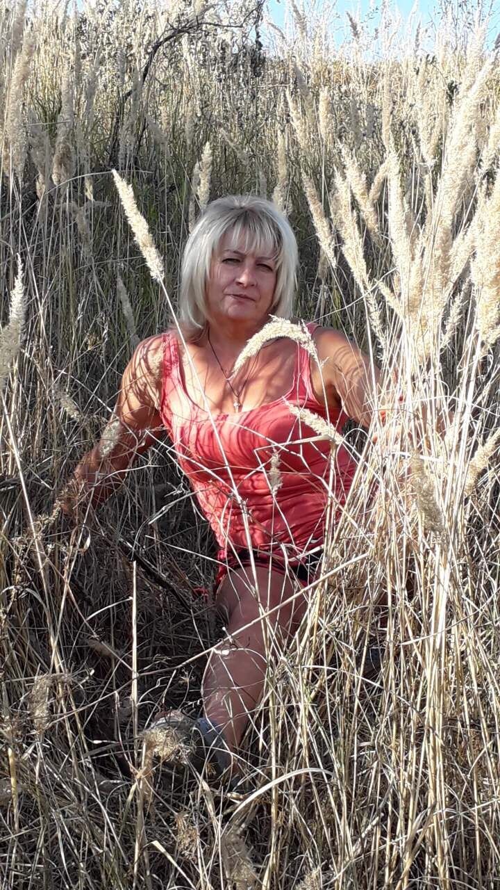  47266304  , 62 ,    
